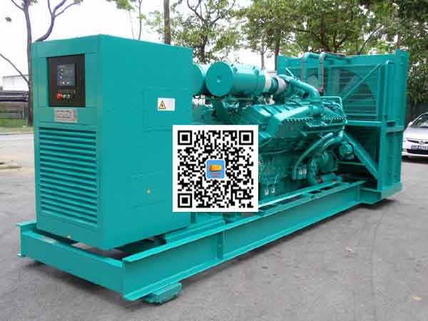 道真租赁发电机-康明斯发电机性价比还是比较高的